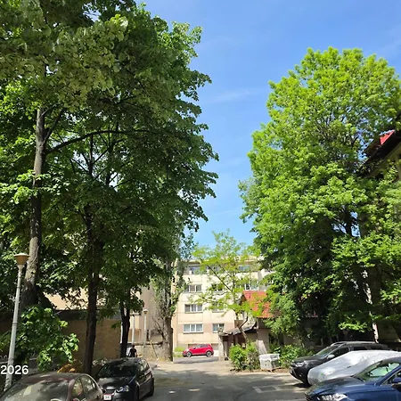Mexonia Apartment