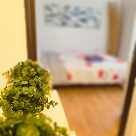 Apartment Mexonia