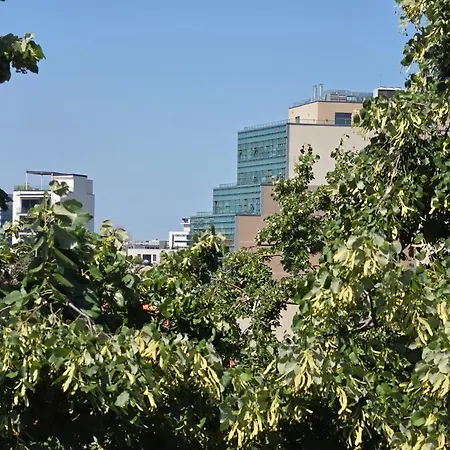 Apartment Mexonia Bucharest