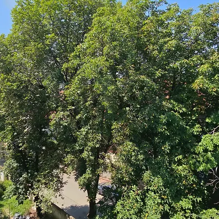 Mexonia
