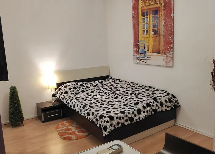 Mexonia * 布加勒斯特